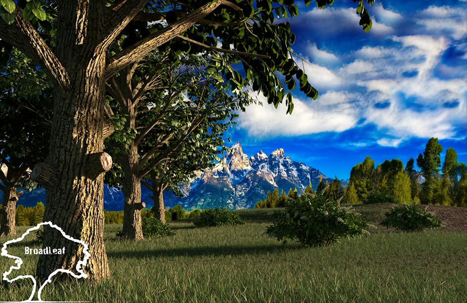 The Tree Primary  preview image 2